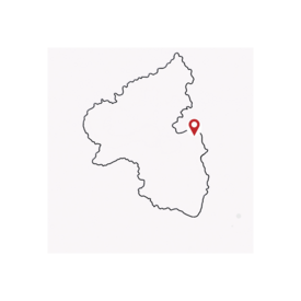 Veranstaltungen in Mainz